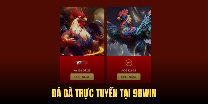 Đá gà 98WIN cuốn hút với đa dạng thần kê lừng danh